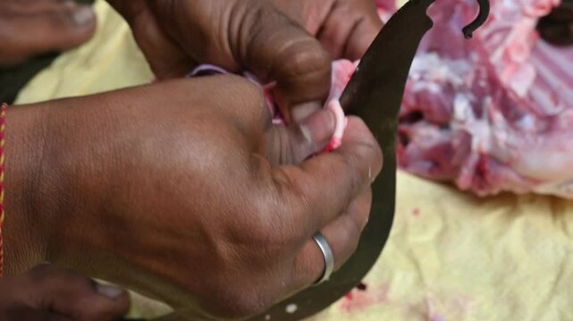 Chopping goat meat. Fresh raw or uncooked goats mutton cutting from Traditional iron tool in Indian village life. chopping goat meat into small pieces.
