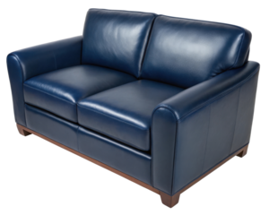 Genuine leather loveseat sofa adds elegance to any space., PNG on transparent background