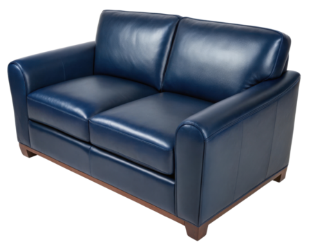 Genuine leather loveseat sofa adds elegance to any space., PNG on transparent background
