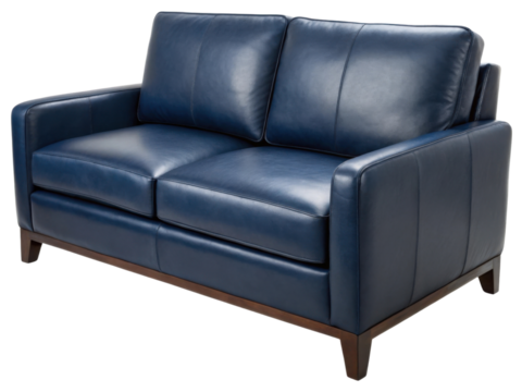 Genuine leather loveseat sofa adds elegance to any space., PNG on transparent background