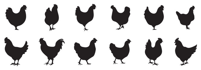 hen or chicken, rooster and chicks silhouette set. hen, rooster and chicks isolated farm animal silhouette icon vector collection hen chicken silhouette set eps 10
