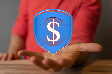 Image of a hand holding a digital shield protecting a dollar sign.  Represents financial security...