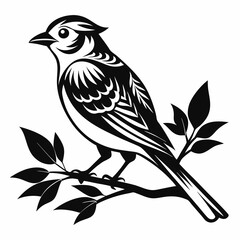 Ornate Black and White Bird on Branch Illustration