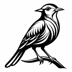 Stylized Black and White Bird Illustration Perched on Branch