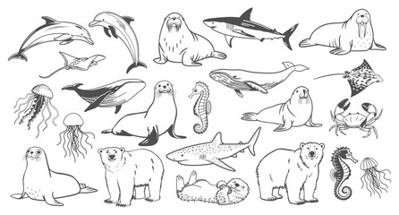 Set of hand drawn sea animals. Sketch black outline illustration. © Tatiana