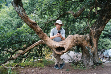 asian male hiker using smart phone while hike