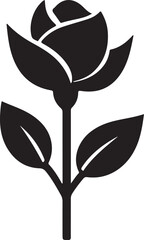 A black silhouette Rose flower set, Vector flat design roses silhouette white background
