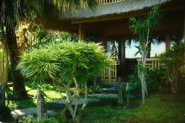 The entrance of a bamboo villa surrounded by a tropical garden and a stone pathway