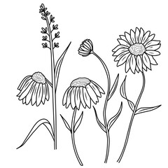 hand drawn flower