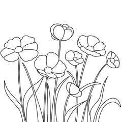 vector illustration of flowers background 