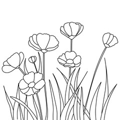 flower field illustration 