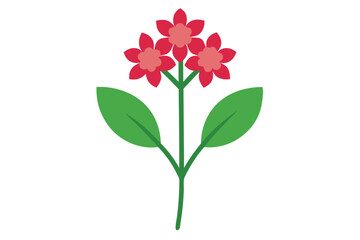 Fototapeta premium pink flower isolated on white