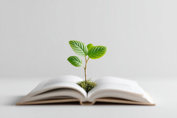 A small green plant sprouting from an open book on white background, symbolizing knowledge growth, education, learning development, inspiration, wisdom, and intellectual cultivation in minimal concept