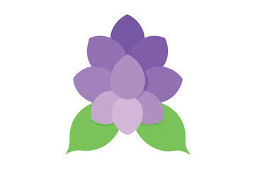 pink flower isolated on white background