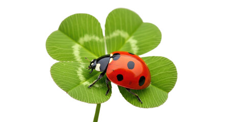 Lucky Ladybug on Clover Leaf on a transparent background (1)-gigapixel-standard-scale-4_00x.png