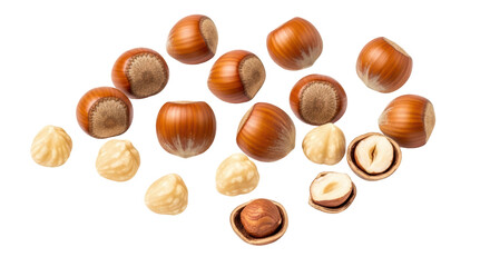 Isolated Fresh Hazelnuts in Shells and Peeled Grouping