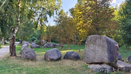 In the city park, a tiled path is surrounded by birch and chestnut trees growing on grassy lawns. At sunset, sunlight shines through their branches. Many boulders lie nearby. A clear autumn evening