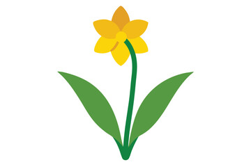 Naklejka premium yellow daffodil flower