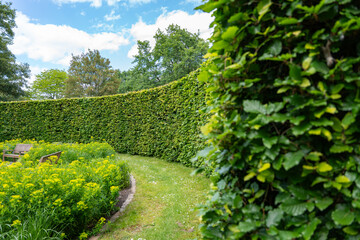 A well-maintained garden path winds along a tall, trimmed hedge. Yellow flowering perennials and wooden chairs along the path create an idyllic, tranquil outdoor atmosphere.