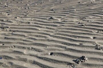 Meeresboden im Watt bei Ebbe im Niedersächsischen Wattenmeer der Nordsee in Cuxhaven