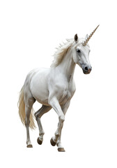 Obraz na płótnie Canvas White Unicorn Horse Illustration Isolated Animal with Transparent BG