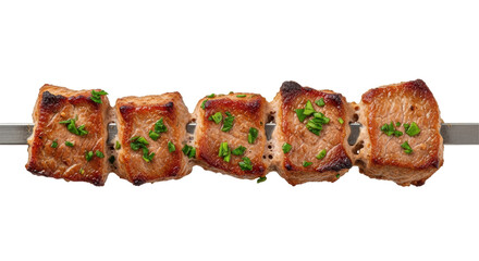 Isolated Meat Skewer Grilled Kabob Street Food