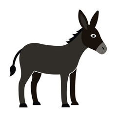 Fototapeta premium donkey isolated on white