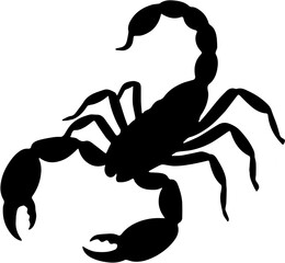 black scorpion isolated on white