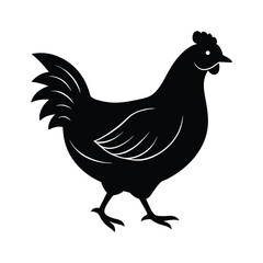 Fototapeta premium Chicken Walking Left Vector Graphic