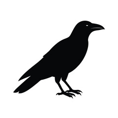 Fototapeta premium Crow Bold Minimalist Vector Silhouette