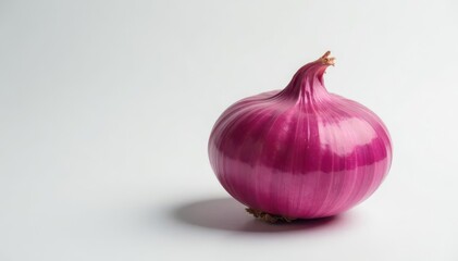 Perfectly centered red onion, sharp focus, minimalist style, high-resolution, minimalist, texture