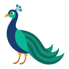 Obraz premium peacock vector illustration