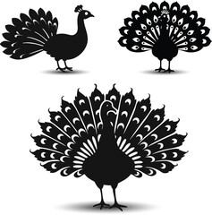 Fototapeta premium Cartoon vector illustration of a funny autumn turkey bird for Thanksgiving