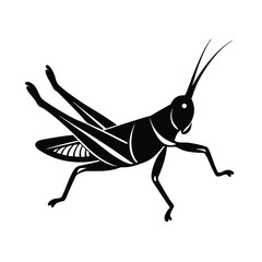 Grasshopper Jumping Pose Vector Art