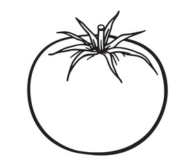 Vector illustration of a tomato line art. Fresh tomato clipart – garden vegetable drawing.