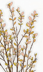 branch with leaves