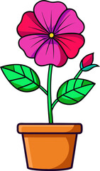 Petunia flower vector in pot with green leaves and pink petals