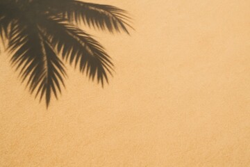 Vertical composition of dramatic palm frond shadow cast on warm golden beach sand with large blank area for text.