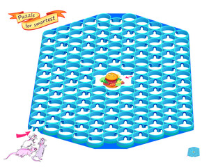 Best labyrinths. Can you help the mice find the way to the hamburger? Logic puzzle game for children and adults. Brain teaser book with maze. Educational page. Kids activity sheet. Vector illustration