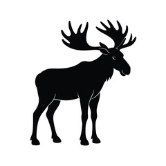 Moose Looking Forward Vector Graphic