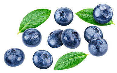 Flying blueberry isolated on white background