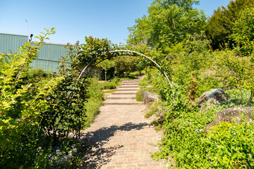 Botanical garden in Zurich in Switzerland 1.5.25