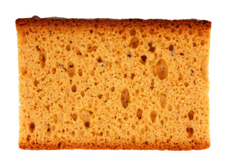 Gingerbread / transparent background