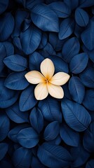 Yellow flower with blue leaves in serene dark gray and sky-blue tones under natural light