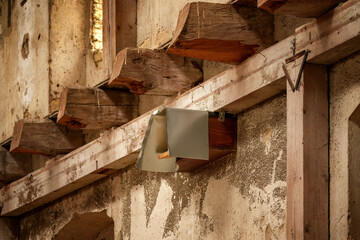 Little owl watching from stone wall at dusk