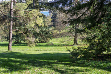 Les jolis arbres du parc de Penthes