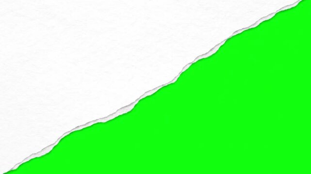 Torn white paper with a rough edge against a vibrant green background, creating an abstract and textured design for various creative applications
