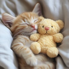 Fototapeta premium Cute Orange Kitten Sleeping Peacefully with Soft Toy Bear Companion