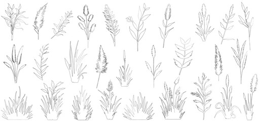 Set of hand drawn botanical grass line art vector. Collection of black white contour drawing of grass