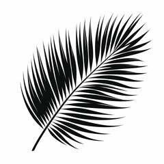 Obraz premium Etched Birch Leaf Illustration - Detailed Black and White Botanical Art28